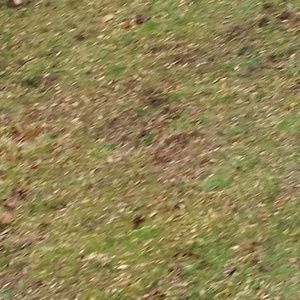 Meet your Posher, Chantel